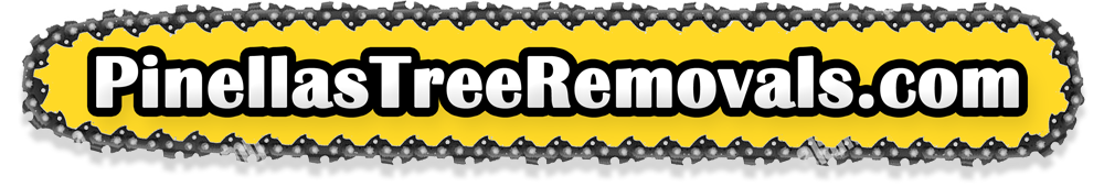 Pinellas Tree Removal